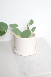 Easton Pot