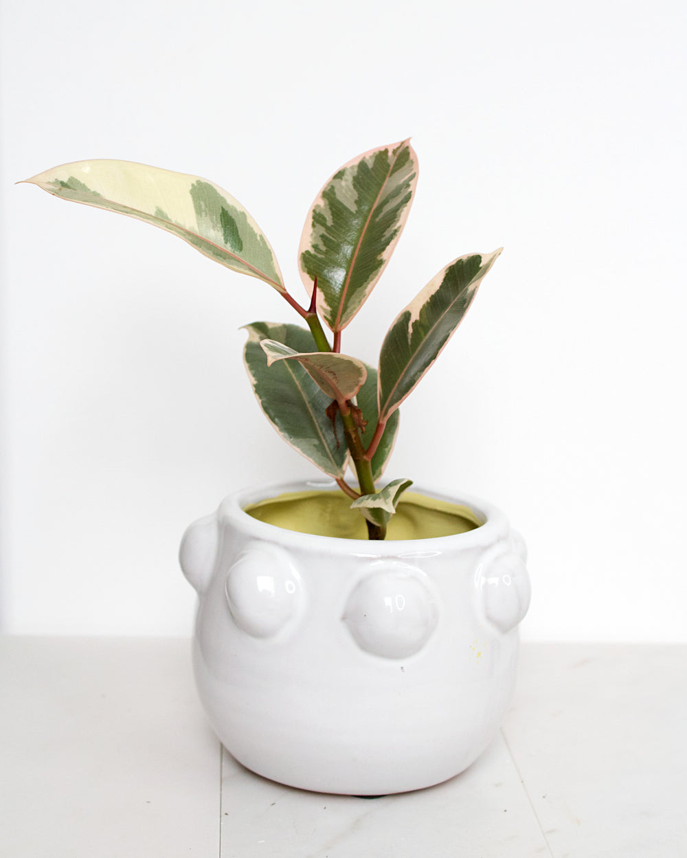 Fem Rosa Pot
