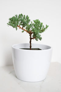 Malibu Pot