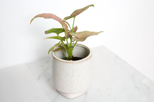 Croix Planter