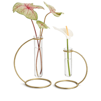 Glass Propagation Tube – Brass Plant Stand Vase