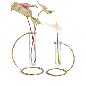 Glass Propagation Tube – Brass Plant Stand Vase