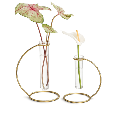 Glass Propagation Tube – Brass Plant Stand Vase