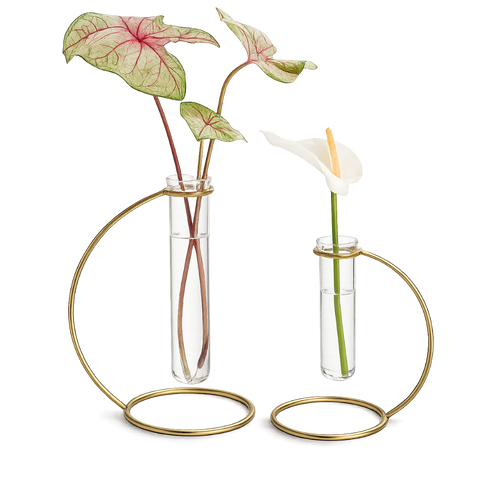 Glass Propagation Tube – Brass Plant Stand Vase