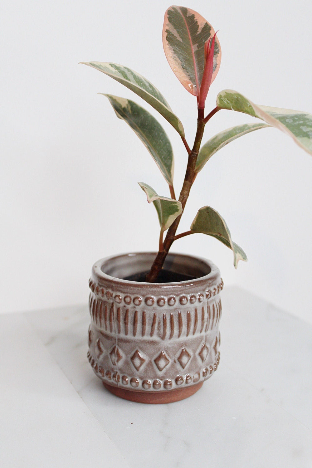 Boho Pattern Planter Pottery Neutral Brown Modern Trendy Ceramic Pot Indoor Plant Home Decor Flower Decorative Vase Wedding Elegant Style