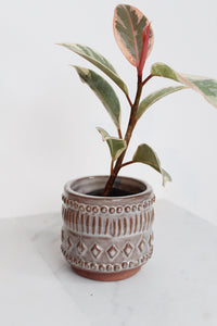 Boho Pattern Planter Pottery Neutral Brown Modern Trendy Ceramic Pot Indoor Plant Home Decor Flower Decorative Vase Wedding Elegant Style