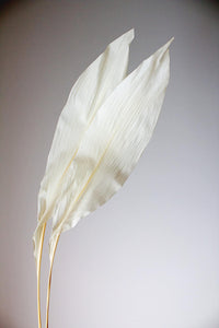 Dried Iron Leaf Floral Accent - Ikebana Style Home Decor