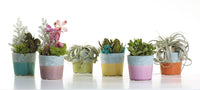 Circa Purple Planter