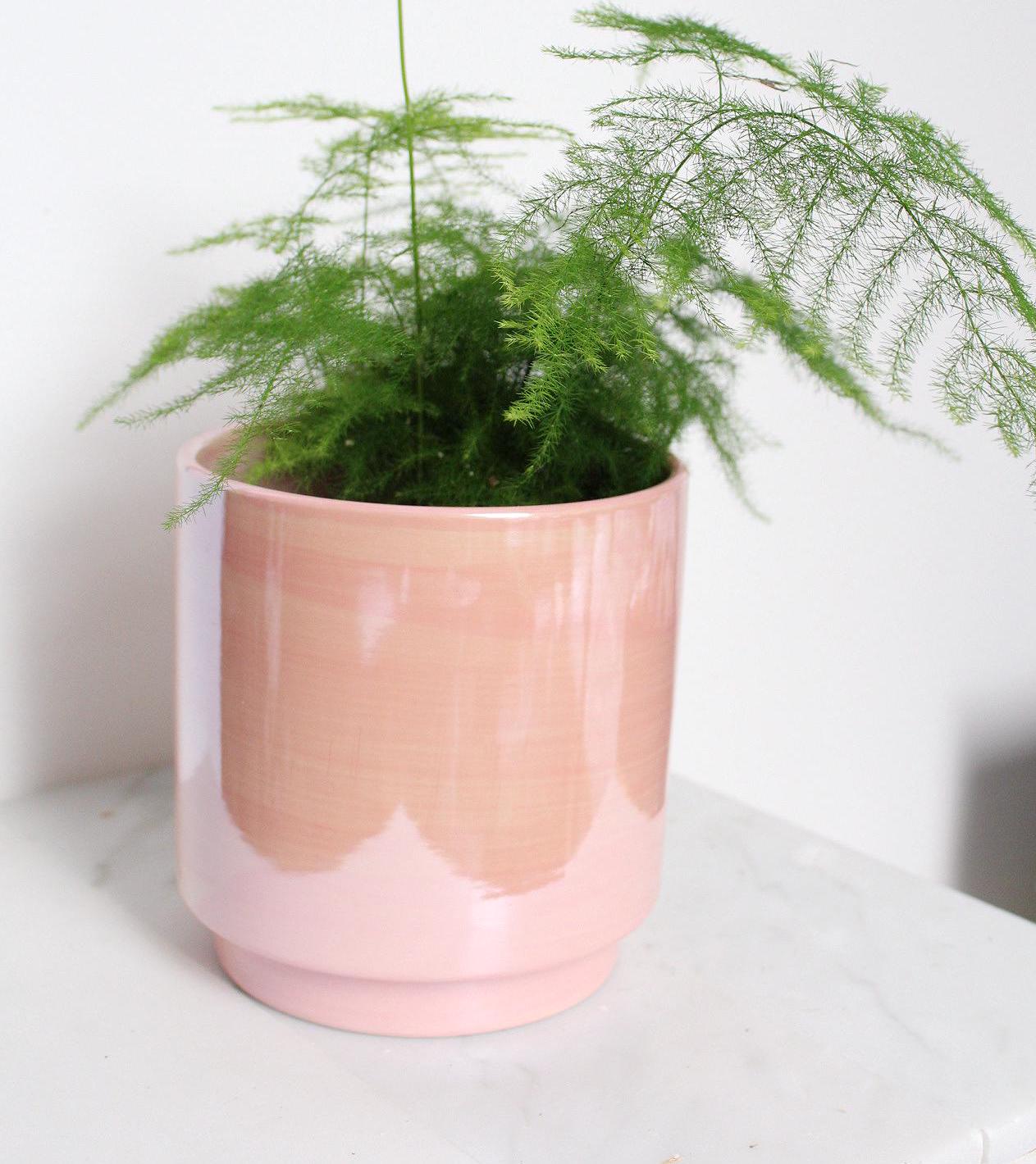 Modern Pink Pot Valentine Gift Collection Ceramic Planter Indoor Decor Bedroom Shelf Essential Large Decorative Container Contemporary Home Accent Beautiful Room Style Five Inch Design Premium Quality Construction Elegant Table Display