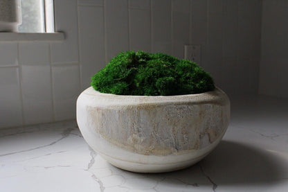 Farmhouse Style Decor Modern Moss Design Natural Wood Bowl Construction Organic Wall Art Premium Quality Piece Living Room Accent Preserved Moss Arrangement Wedding Gift Present Natural Home Accent Rustic Design Collection