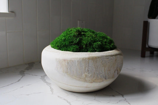 Organic Wood Bowl - Rustic Centerpiece for Home Decor