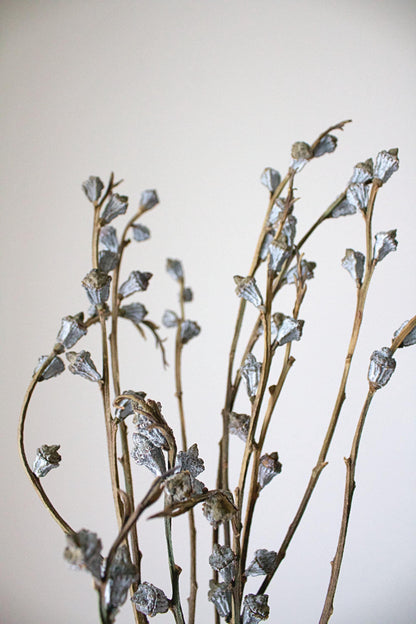 Natural Dried Branches Eucalyptus Bundle Wedding Decor Accent Pieces Tall Botanical Display Farmhouse Home Style Gray White Color Premium Quality Construction Large Scale Arrangement Beautiful Vase Filler Rustic Design Elements