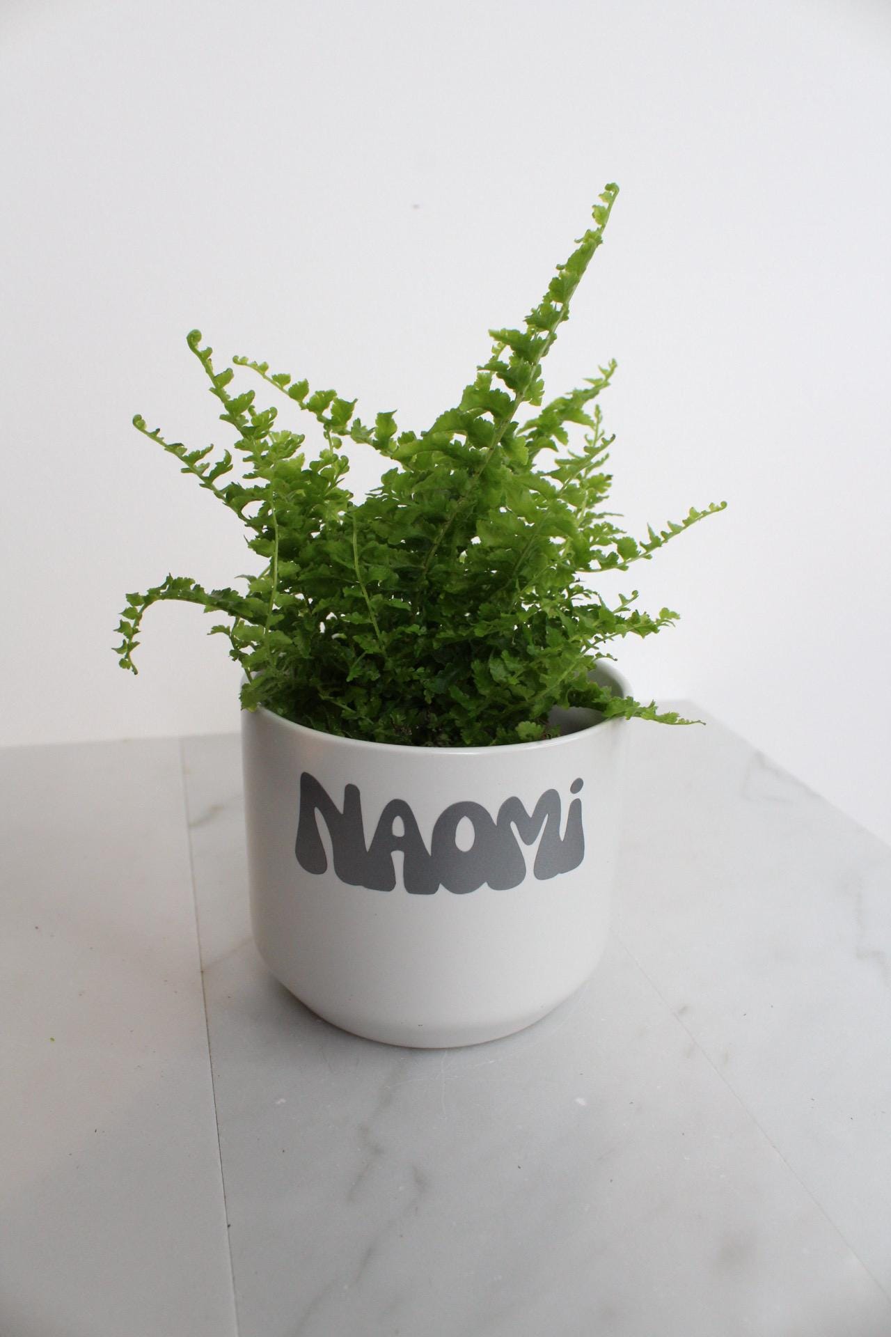 Mini Plant Pot Small White Planter Personalized Planter Custom Flower Pot Indoor Planter Succulent Pot Herb Planter Desk Planter Office Decor Dorm Decor Teacher Gift Plant Mom Gift Plant Dad Gift