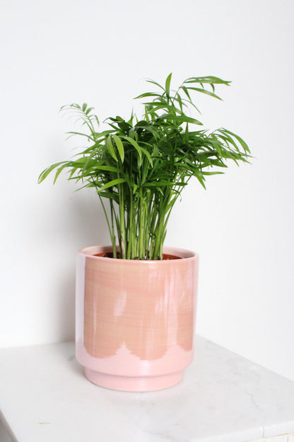 Bedroom Decor Essential Pink Ceramic Planter Modern Home Collection Indoor Plant Container Valentine Gift Idea Beautiful Room Accent Large Table Display Contemporary Style Five Inch Design Premium Quality Construction Elegant Shelf Addition