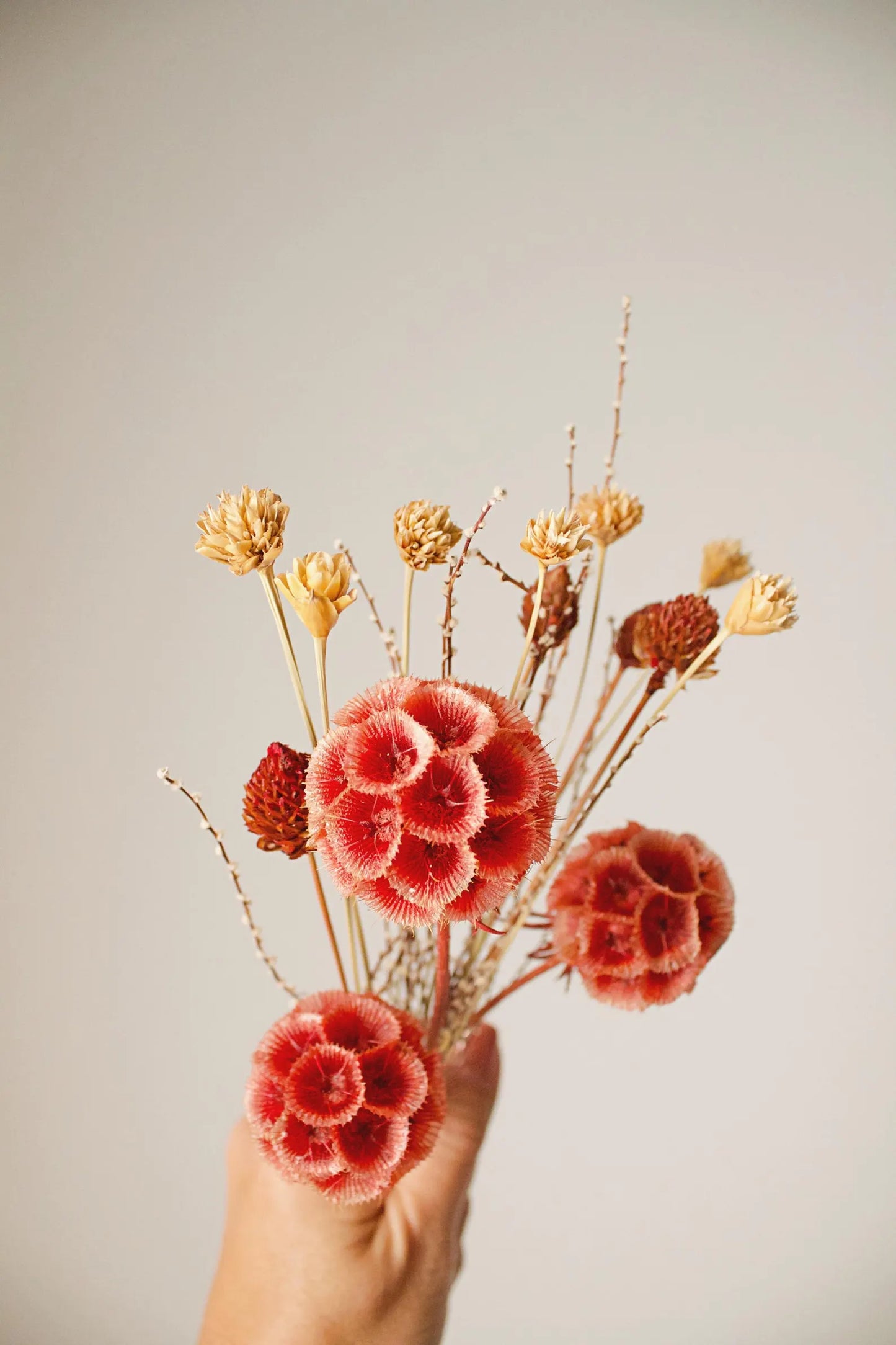 Dried Flower Bouquet with Coral Scabiosa and Yellow Daisy – Floral Arrangement