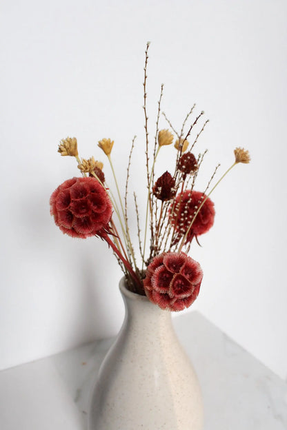Dried Flower Bouquet with Coral Scabiosa and Yellow Daisy – Floral Arrangement
