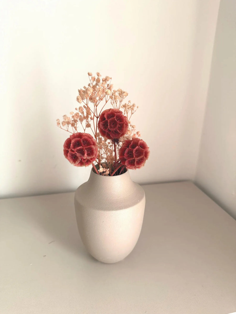 Dried Flower Bouquet with Coral Scabiosa and Yellow Daisy – Floral Arrangement