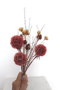 Dried Flower Bouquet with Coral Scabiosa and Yellow Daisy – Floral Arrangement