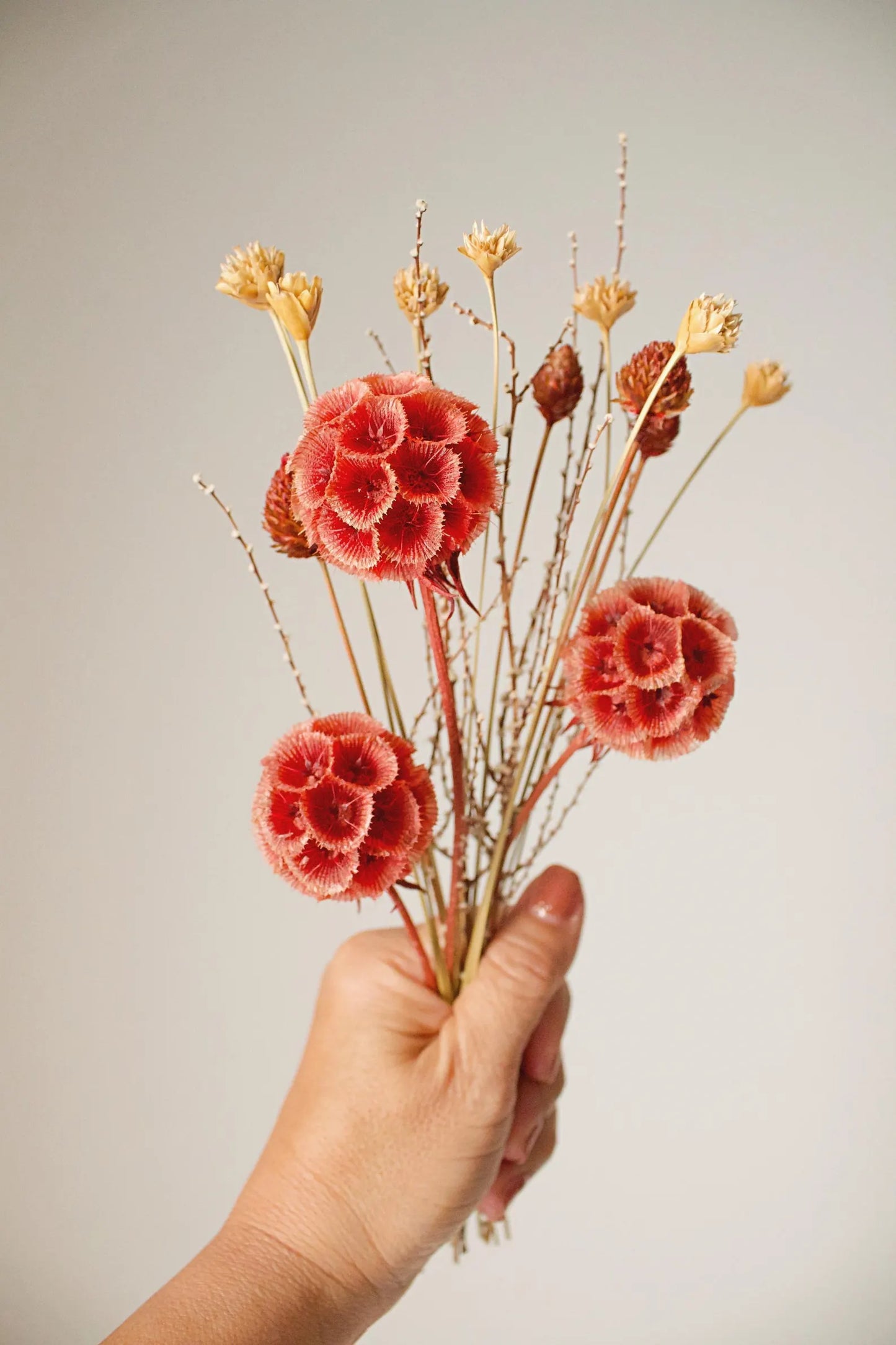 Dried Flower Bouquet with Coral Scabiosa and Yellow Daisy – Floral Arrangement