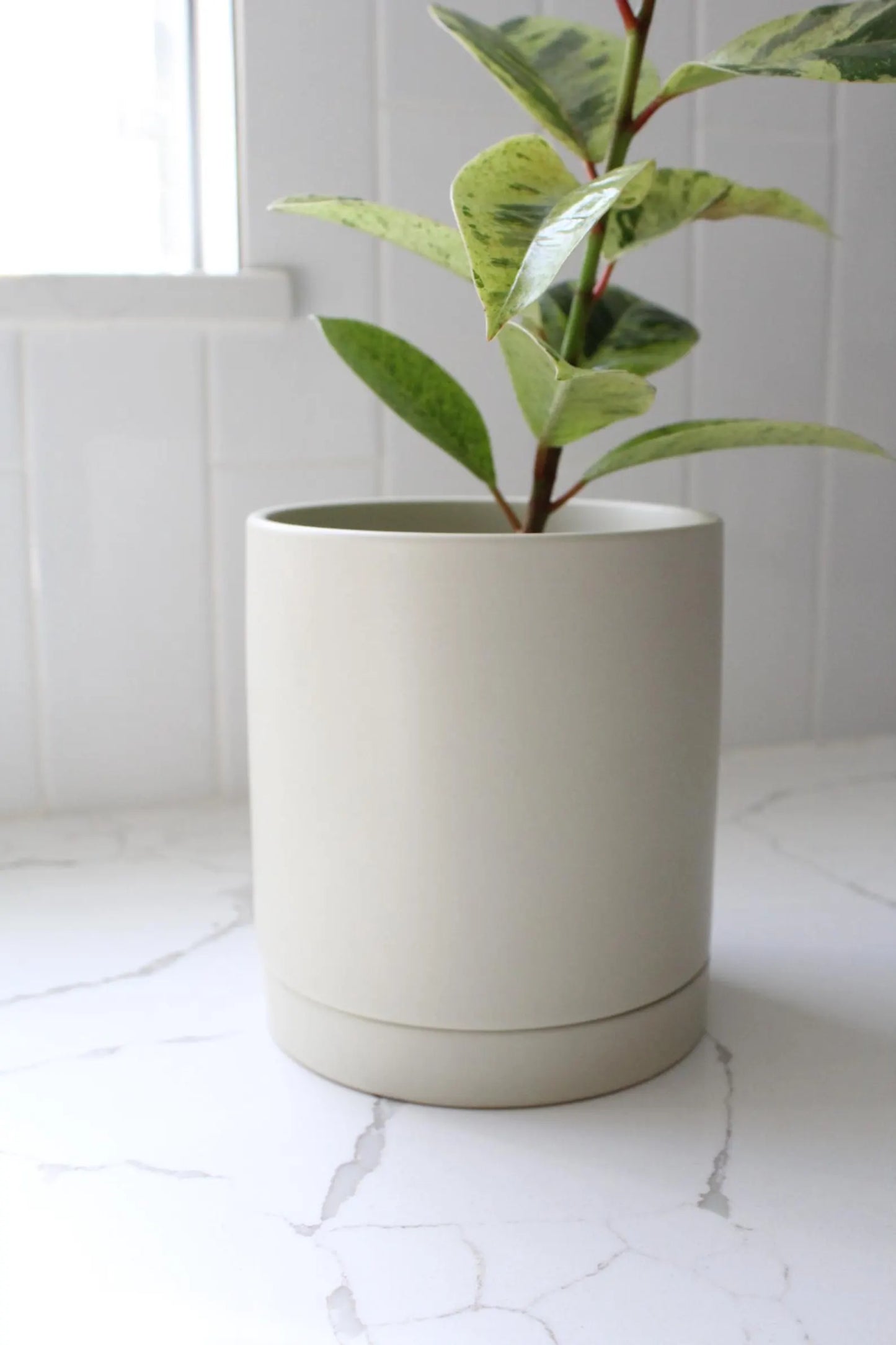 Ivory Modern Pot – Minimal Matte Planter with Saucer