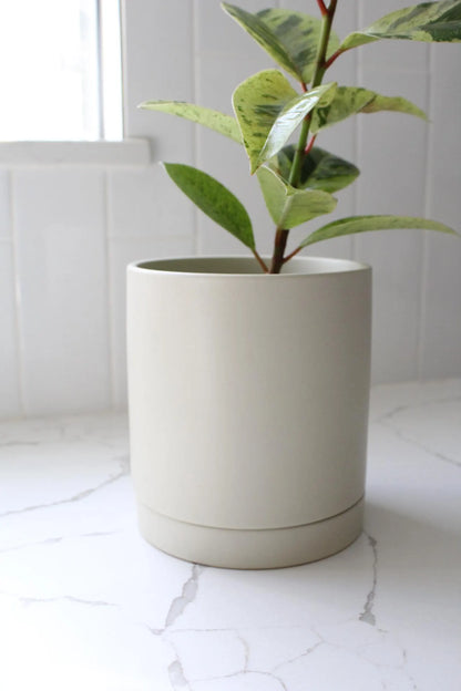 Ivory Modern Pot – Minimal Matte Planter with Saucer