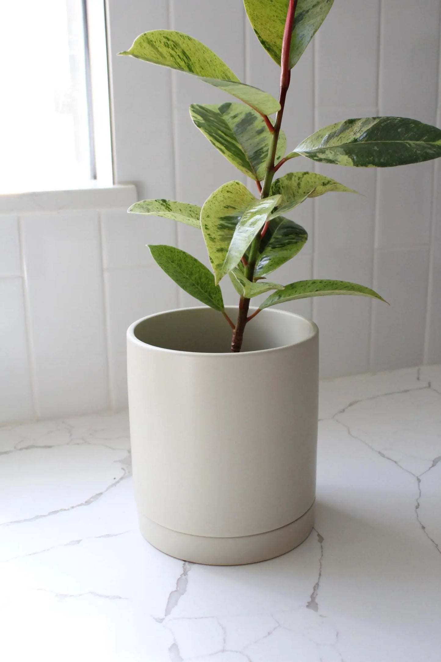 Ivory Modern Pot – Minimal Matte Planter with Saucer