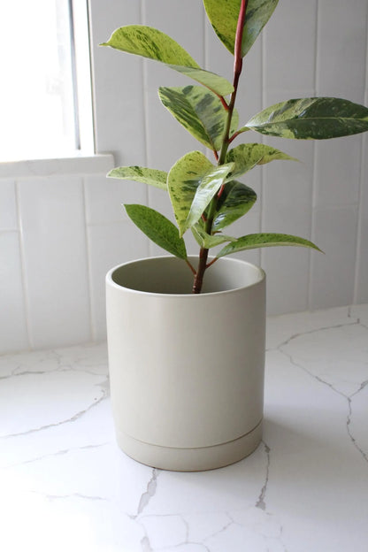 Ivory Modern Pot – Minimal Matte Planter with Saucer