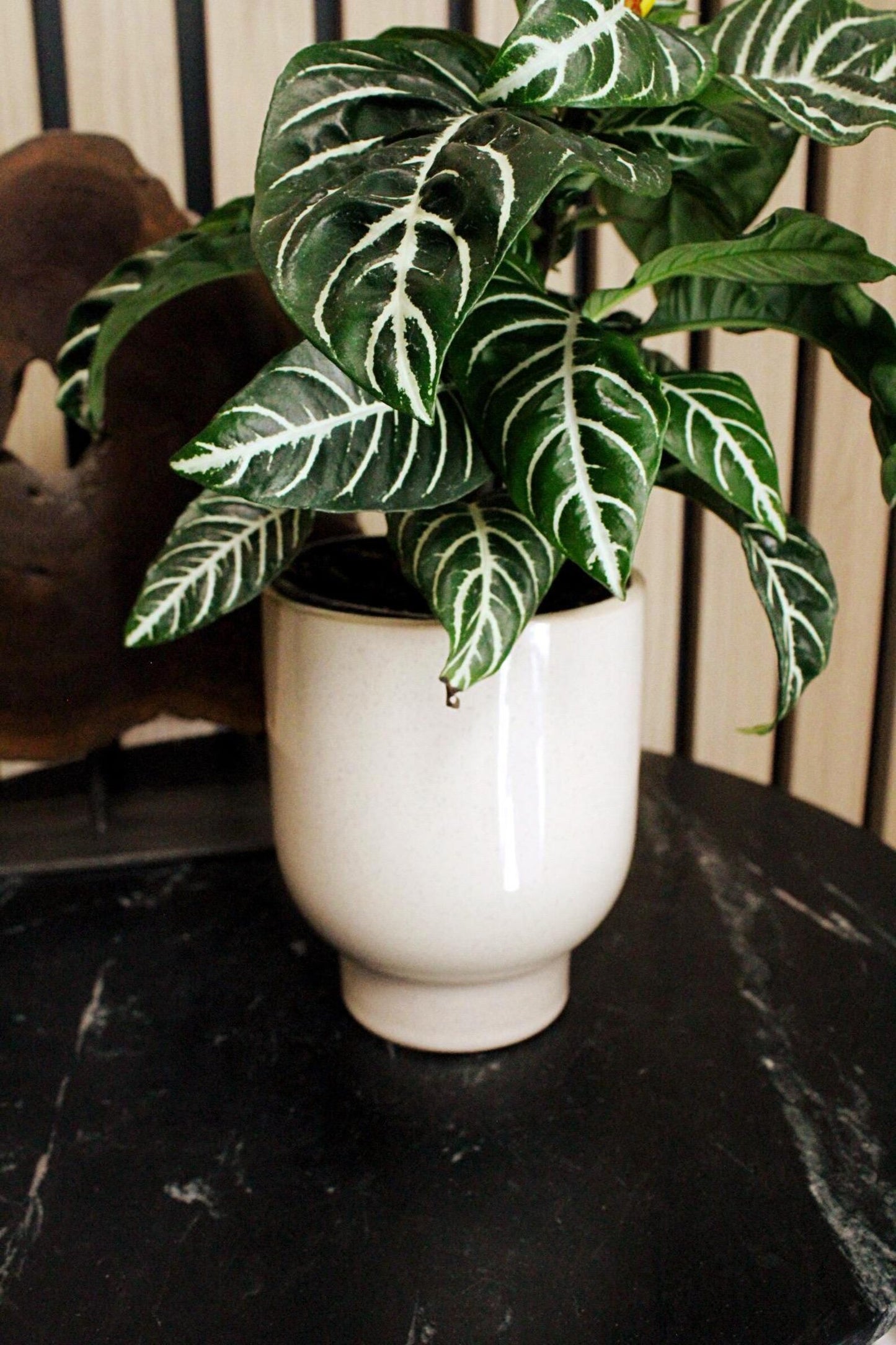 Beige Ceramic Planter – Minimal Desk Succulent Pot