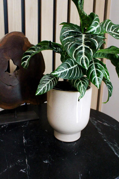 Beige Ceramic Planter – Minimal Desk Succulent Pot