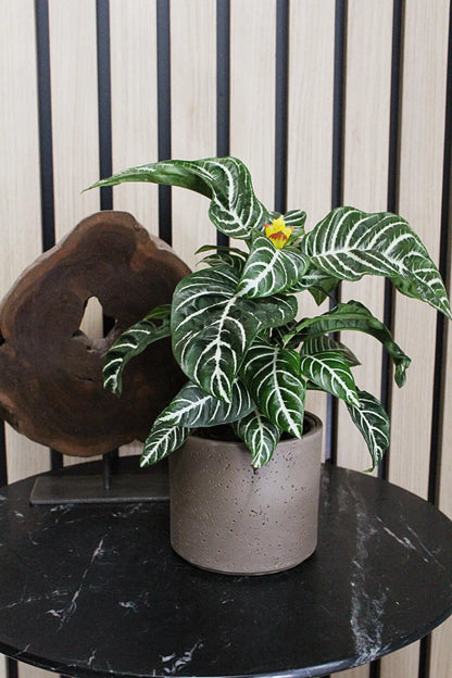 Dark Grey Planter – Textured Ceramic Indoor Pot