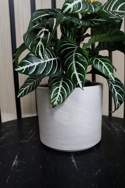 Ceramic Pot Cover – Minimal Modern Indoor Planter