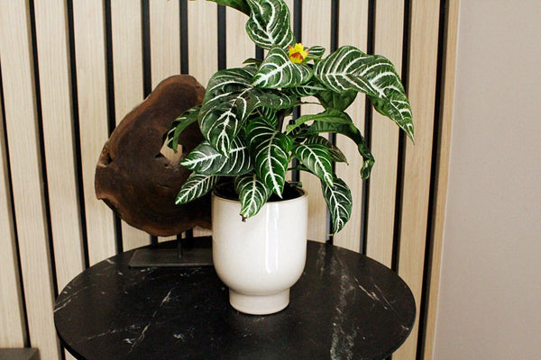 Beige Ceramic Planter – Minimal Desk Succulent Pot