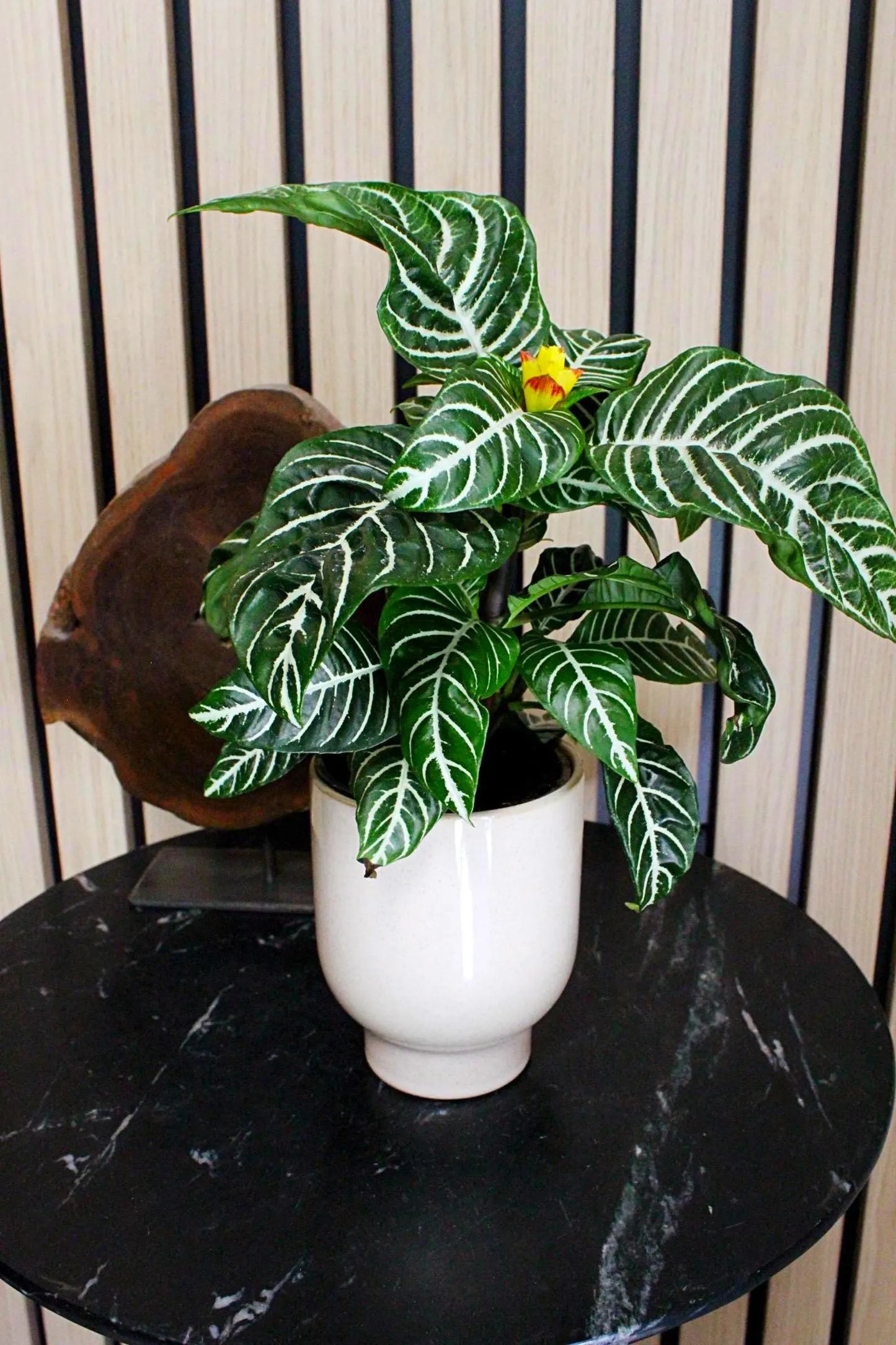 Beige Ceramic Planter – Minimal Desk Succulent Pot