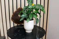 Beige Ceramic Planter – Minimal Desk Succulent Pot
