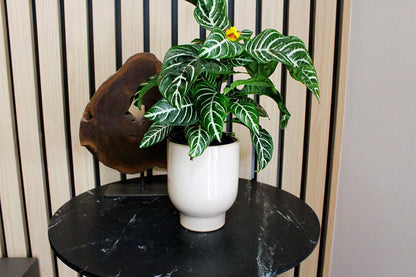 Beige Ceramic Planter – Minimal Desk Succulent Pot