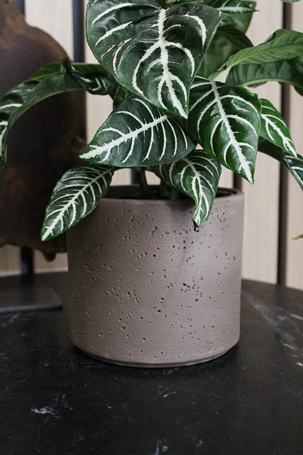 Dark Grey Planter – Textured Ceramic Indoor Pot