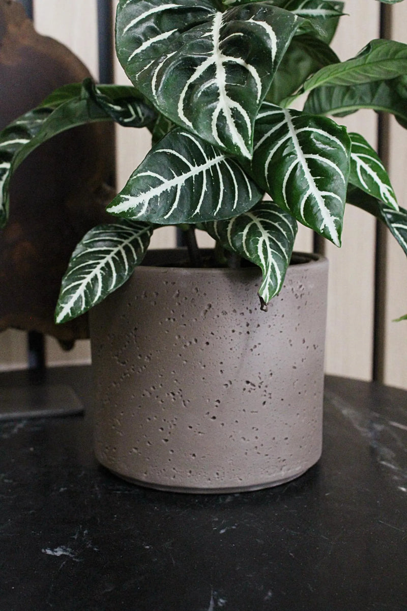 Dark Grey Planter – Textured Ceramic Indoor Pot
