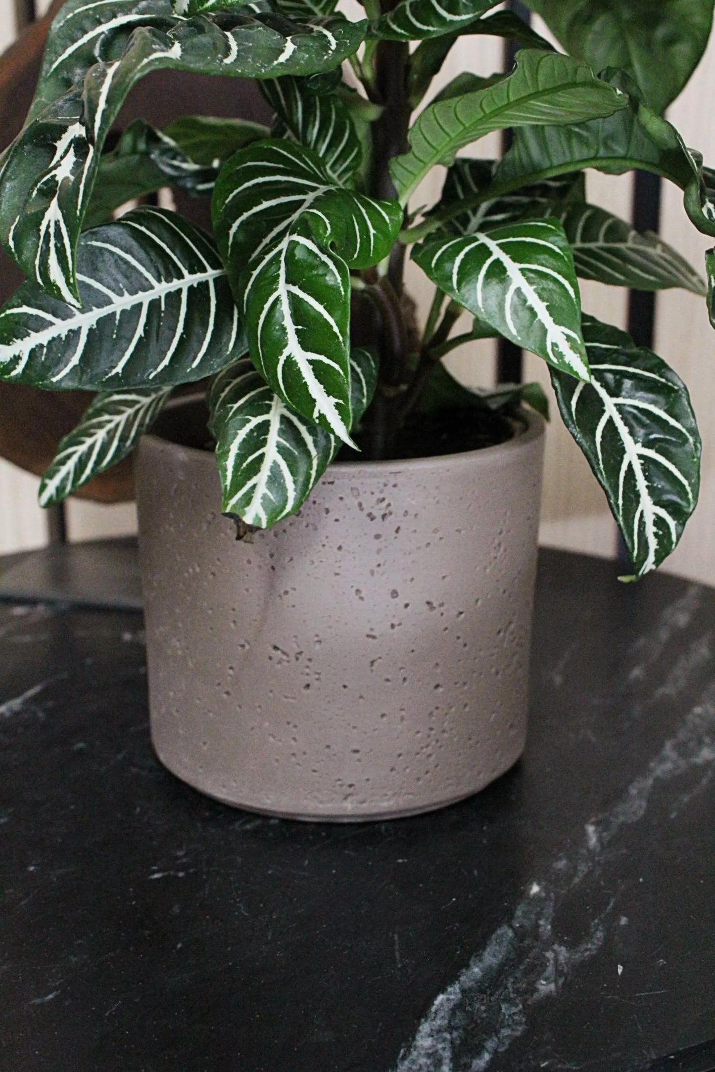 Dark Grey Planter – Textured Ceramic Indoor Pot