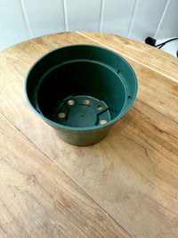 Starter Plant Repotting Kit – 4" Pot with Organic Soil