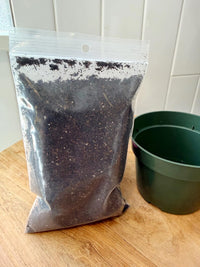 Starter Plant Repotting Kit – 4" Pot with Organic Soil