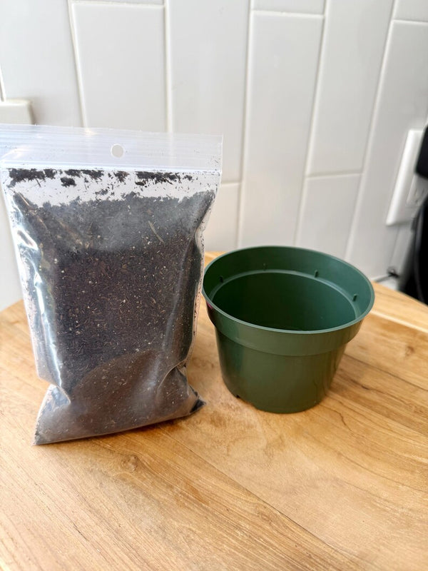 Starter Plant Repotting Kit – 4" Pot with Organic Soil