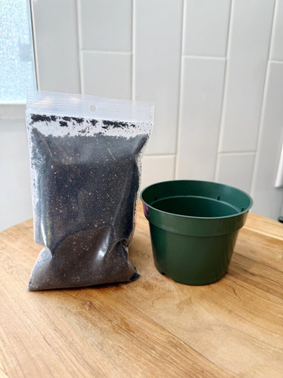 Starter Plant Repotting Kit – 4" Pot with Organic Soil