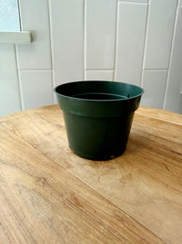 Starter Plant Repotting Kit – 4" Pot with Organic Soil