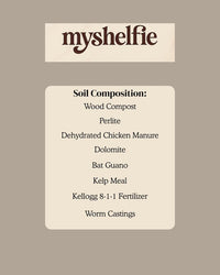 Starter Plant Repotting Kit – 4" Pot with Organic Soil