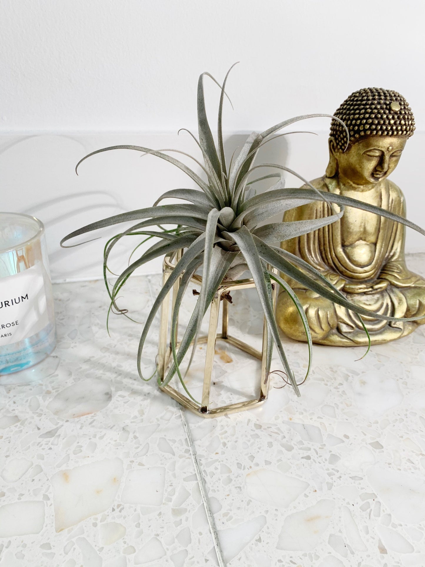 Brass Crystal Hexagonal Display Stand - Gold Geometric Candle & Sphere Holder