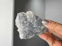 Apophyllite Quartz – Brass Claw Crystal Display