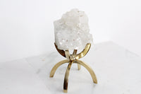 Apophyllite Quartz – Brass Claw Crystal Display