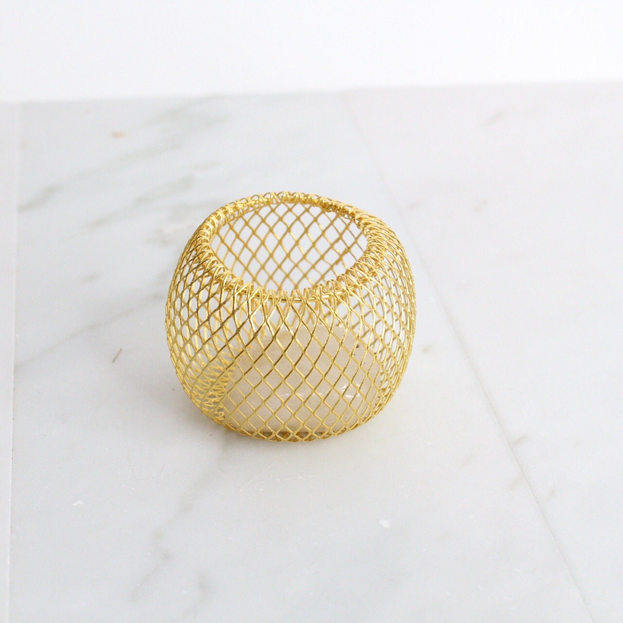 Modern Indoor Air Plant with Holder - Small Desk Office Plant Gift