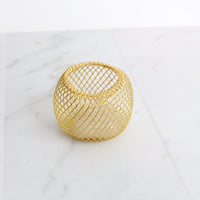 Modern Indoor Air Plant with Holder - Small Desk Office Plant Gift