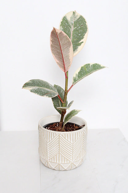 Boho Chevron Pattern Pottery Neutral Ivory Modern Pot Minimal Planter Indoor Plant Home Decor Flower Decorative Vase Wedding Elegant Style